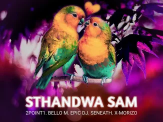 2point1 - Sthandwa Sam ft. Bello M, Epic DJ, Seneath & X-Morizo