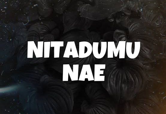 Mzee Yusuph - Nitadumu Nae