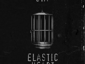 Sia - Elastic Heart